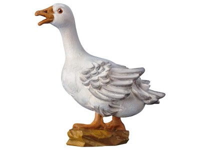 Ul. Gans quakend color